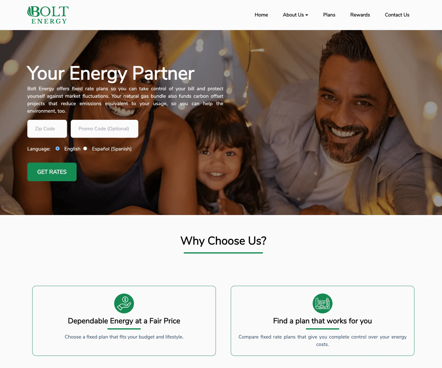 Bolt Energy Services Desktop - Custom software interface preview